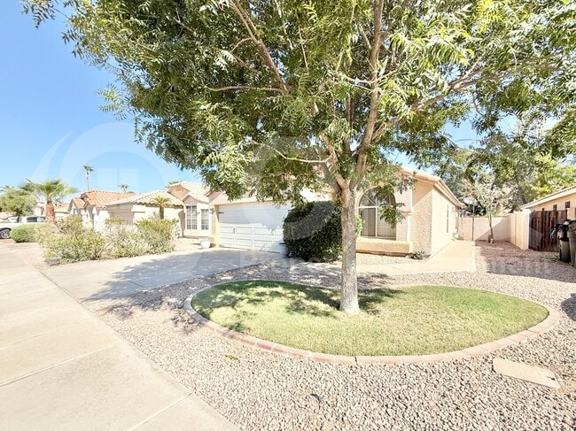 1150 W Lark Dr in Chandler, AZ - Building Photo - Building Photo