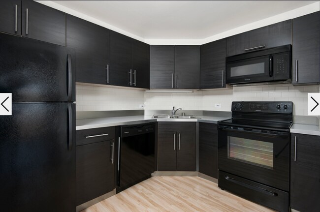 1120 N La Salle Dr-Unit -9N in Chicago, IL - Building Photo - Building Photo