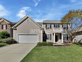 14314 Pintail Landing Ln in Charlotte, NC - Building Photo