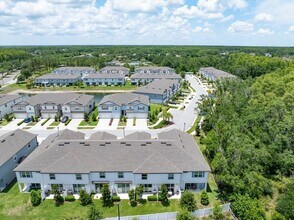2906 Deer Pine Trail in Land O Lakes, FL - Building Photo - Building Photo