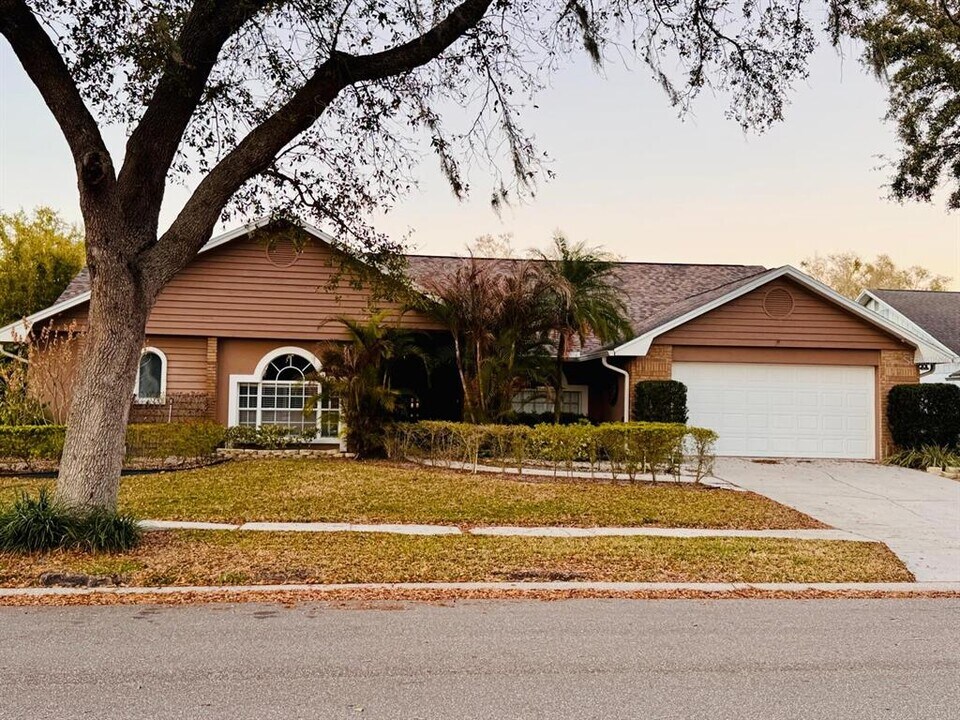 16713 Sheffield Park Dr in Lutz, FL - Building Photo