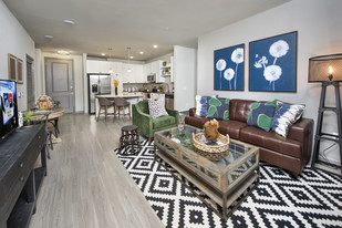 Sandy Springs Apartments For Rent With Hardwood Floors Sandy