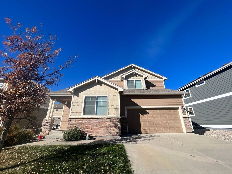 509 Walhalla Ct in Fort Collins, CO - Foto de edificio