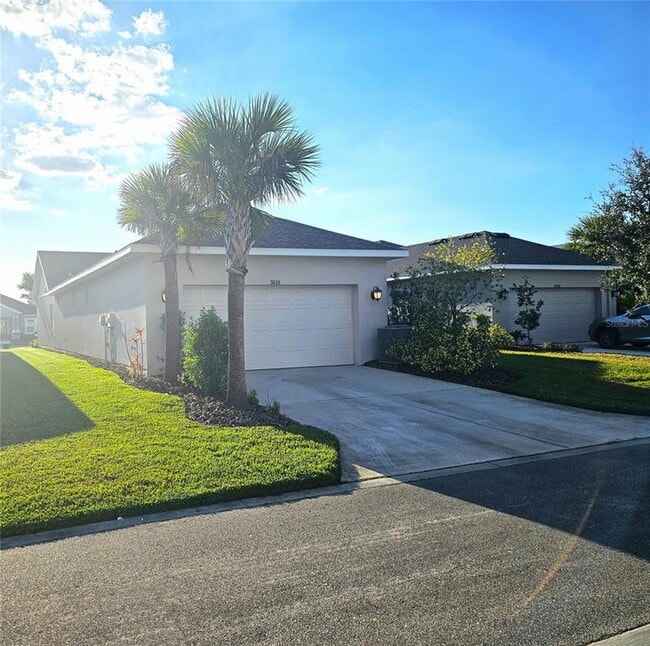 3618 Persimmon Park Dr in Wesley Chapel, FL - Building Photo - Building Photo
