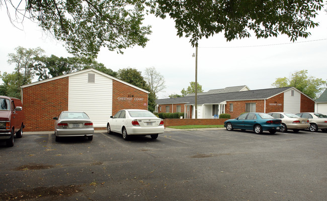 226 Chestnut St in Salem, VA - Building Photo - Building Photo