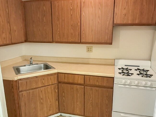 531 W Briar Pl, Unit 2G in Chicago, IL - Building Photo - Building Photo