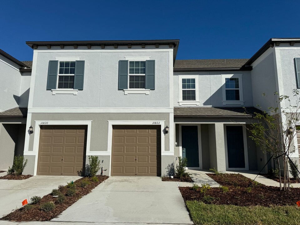 10822 Fowlers Blf Ct in Tampa, FL - Building Photo