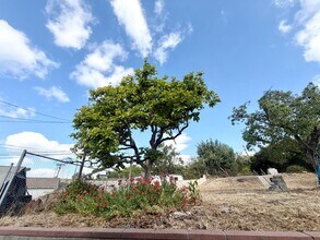 1816 Cliffhill Dr in Monterey Park, CA - Building Photo - Building Photo