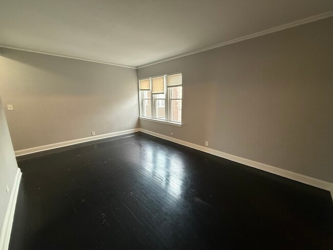 7344 N Damen Ave in Chicago, IL - Building Photo - Building Photo