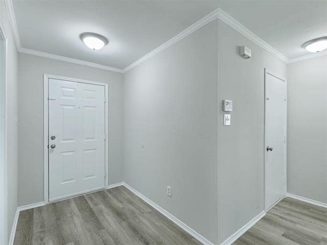 2508 Pecan Dr in Little Elm, TX - Building Photo - Building Photo