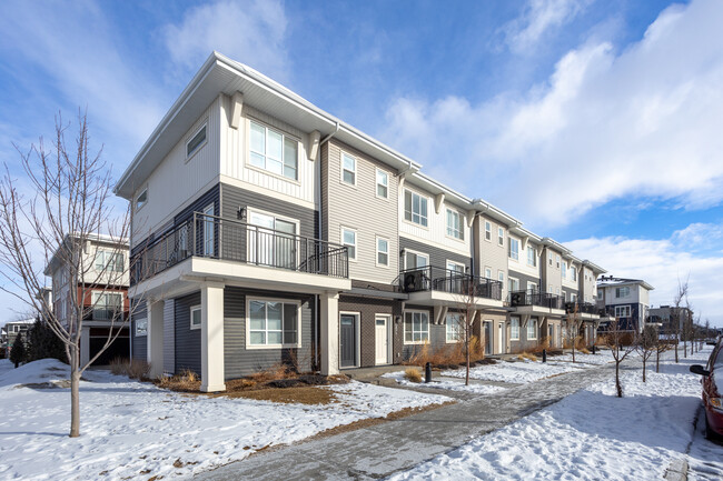 Novella Townhomes in Calgary, AB - Building Photo - Building Photo