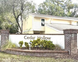 11241 Cedar Hollow Ln in Tampa, FL - Building Photo