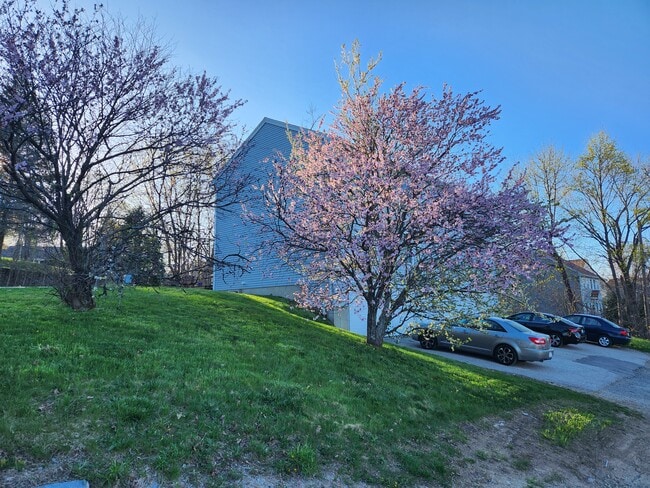 1 Rosamond St in Worcester, MA - Foto de edificio - Building Photo