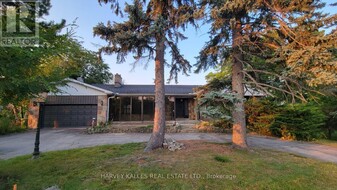 48 Forest Grove Dr