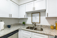 Andover Club Apartments in Tampa, FL - Building Photo - Building Photo