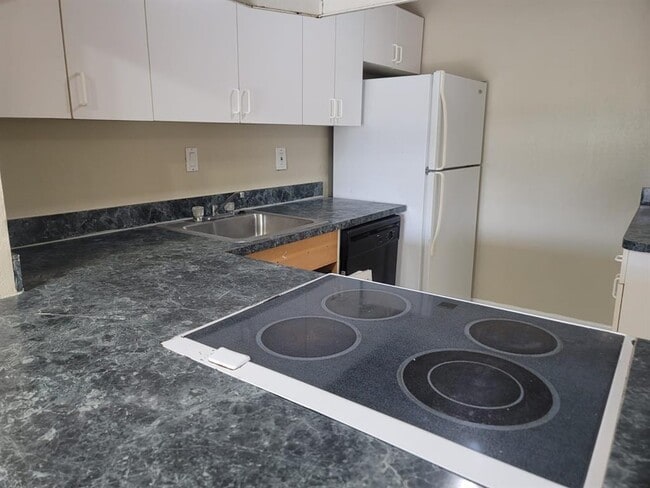 4324 NW 9th Ave in Lighthouse Point, FL - Building Photo - Building Photo
