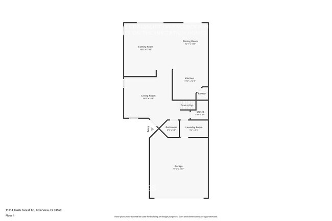 11214 Black Forest Trail in Riverview, FL - Foto de edificio - Building Photo