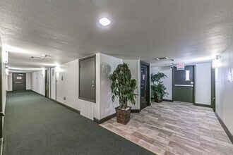 1025 Swanson St in Houston, TX - Building Photo - Building Photo
