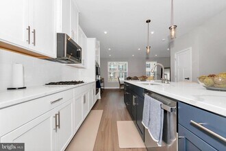 256 Stallion St in Frederick, MD - Building Photo - Building Photo