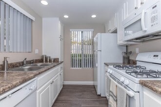 Villas Aliento Apartment Homes in Rancho Santa Margarita, CA - Building Photo - Building Photo