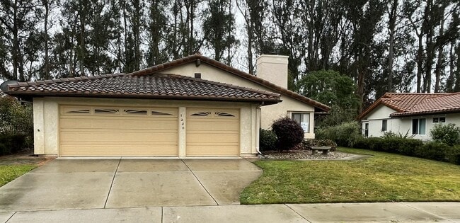 property at 1228 Black Sage Cir