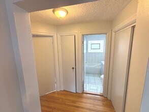 427 S Euclid Ave in Oak Park, IL - Building Photo - Building Photo