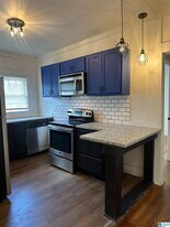 1229 8th Ave W in Birmingham, AL - Building Photo