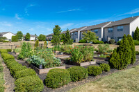 Parkway Village Apartments in Grove City, OH - Foto de edificio - Building Photo