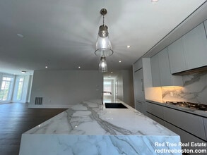 20 Marion St, Unit 3 in Brookline, MA - Building Photo - Building Photo