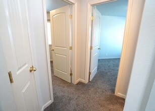 1445 W Silver Salmon Dr in Meridian, ID - Building Photo - Building Photo