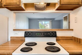 1203 S Gilbert St in Castle Rock, CO - Building Photo - Building Photo