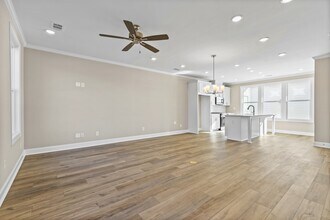 213 Black Swann Rd in Auburn, AL - Building Photo - Building Photo