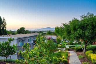 Pleasanton Heights in Pleasanton, CA - Foto de edificio - Building Photo