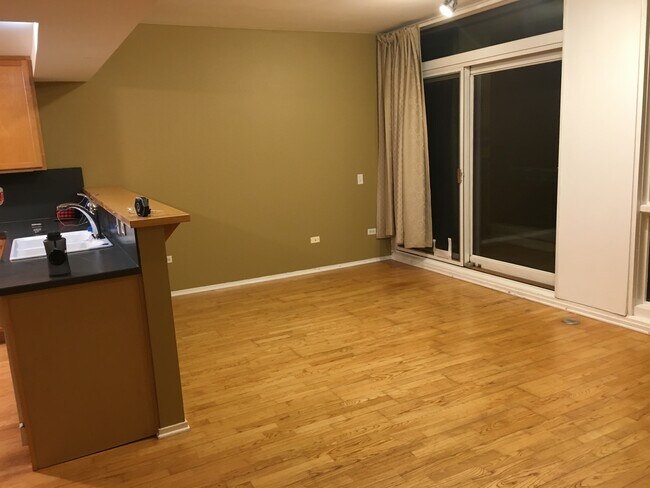 61 W 15th St, Unit 216 in Chicago, IL - Building Photo - Building Photo