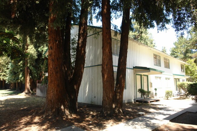 1141 Carlsbad Dr in San Jose, CA - Foto de edificio - Building Photo