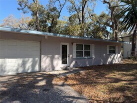 817 Margo St in Tarpon Springs, FL - Building Photo