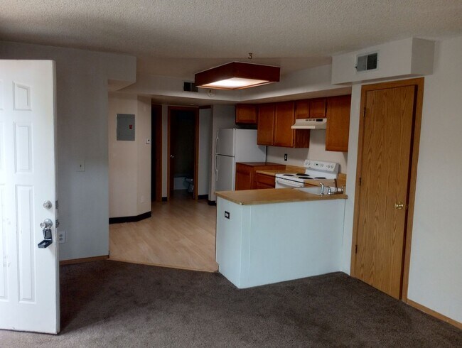 property at 972 S Dearborn Way