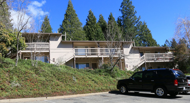 Park Forest Apartments in Pollock Pines, CA - Building Photo - Building Photo