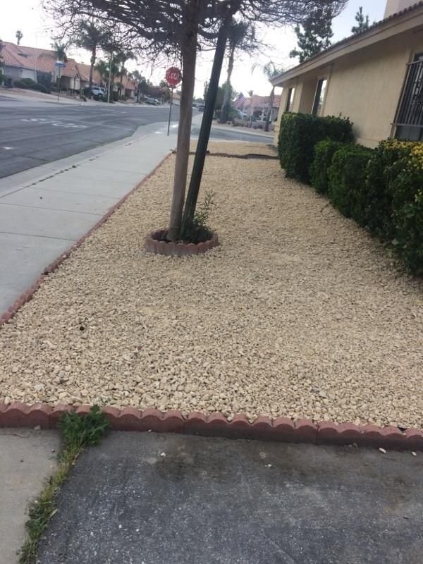 853 Ensenada Dr in Hemet, CA - Building Photo - Building Photo