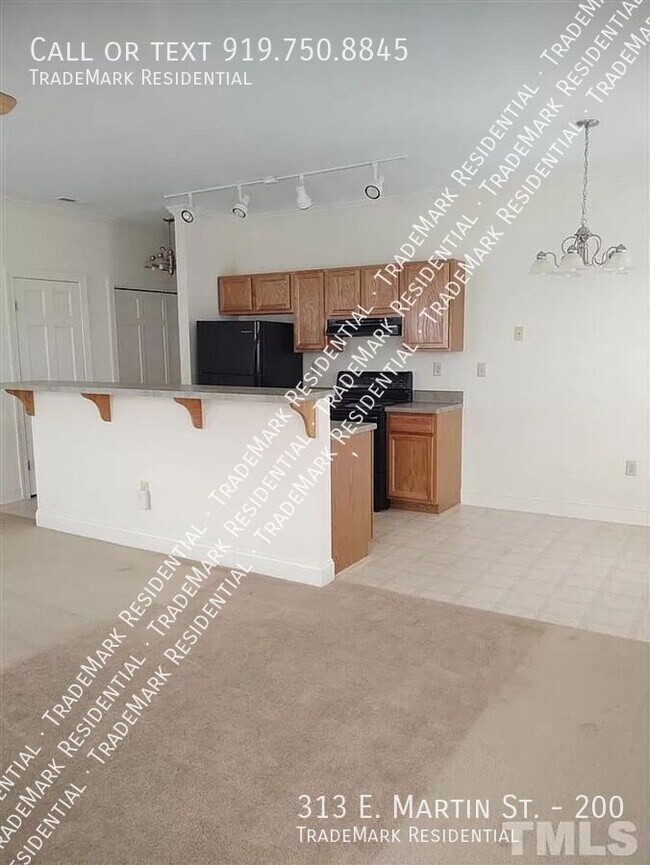 313 E Martin St in Raleigh, NC - Building Photo - Building Photo