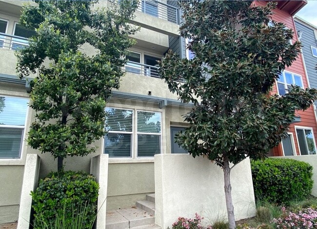 211 S Orange St in Escondido, CA - Building Photo - Building Photo