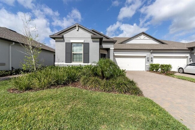 9967 Red Bay Lp in Land O Lakes, FL - Building Photo - Building Photo