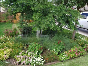 16815 Dancing Ava in Selma, TX - Building Photo - Building Photo