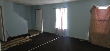 3224 E 117th St in Cleveland, OH - Building Photo - Building Photo