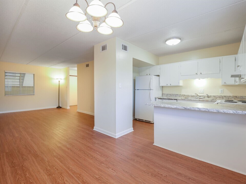 545 E 7th Ave in Tallahassee, FL - Building Photo