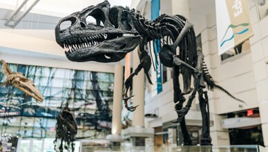 1130 Ridge Rd-Unit -1 in Martinsville, VA - Building Photo - Building Photo