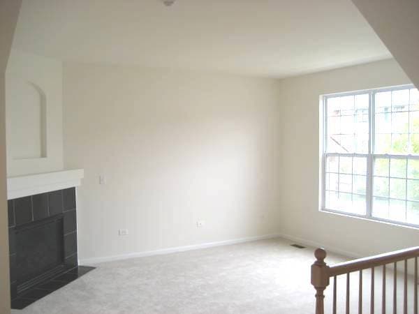 928 Charlton Ln in Naperville, IL - Building Photo - Building Photo
