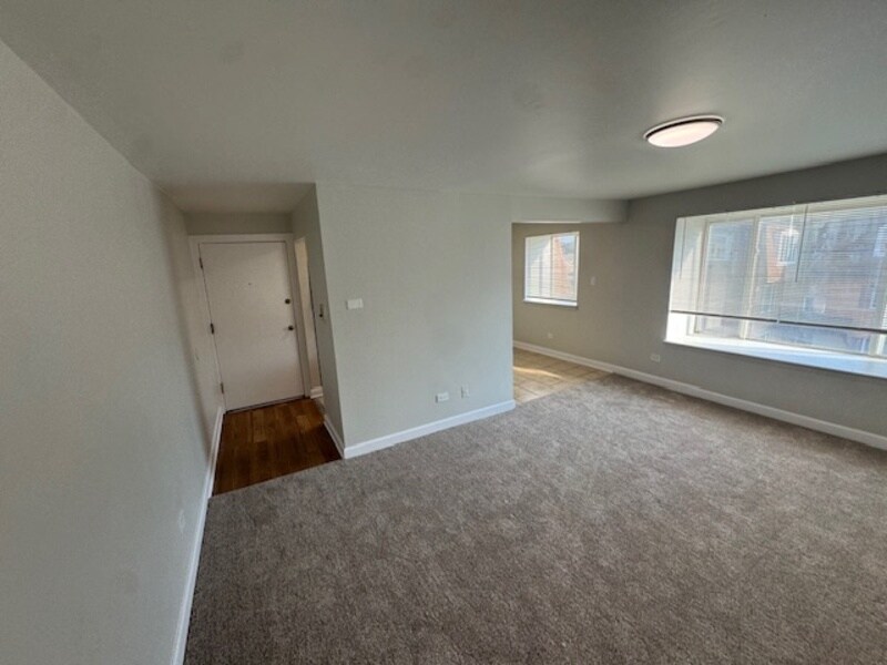 519 Madison Ave in Calumet City, IL - Building Photo