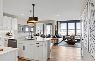 6281 Larkspur Ln in Corcoran, MN - Building Photo