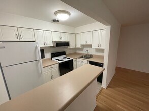 420 W Aldine Ave in Chicago, IL - Building Photo - Building Photo